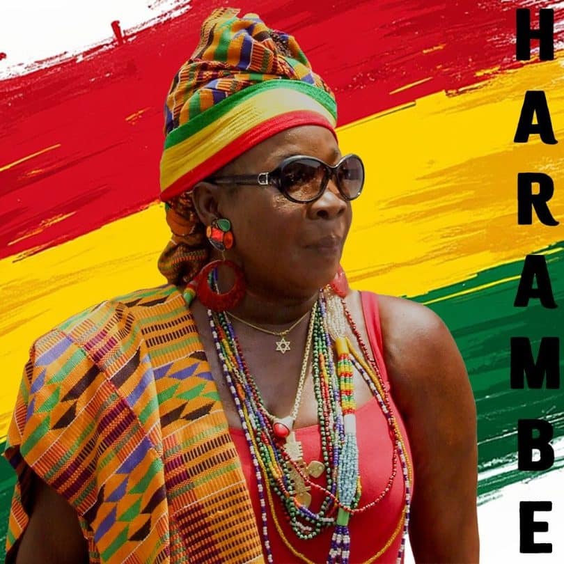 AUDIO Rita Marley - Harambee MP3 DOWNLOAD - citiMuzik